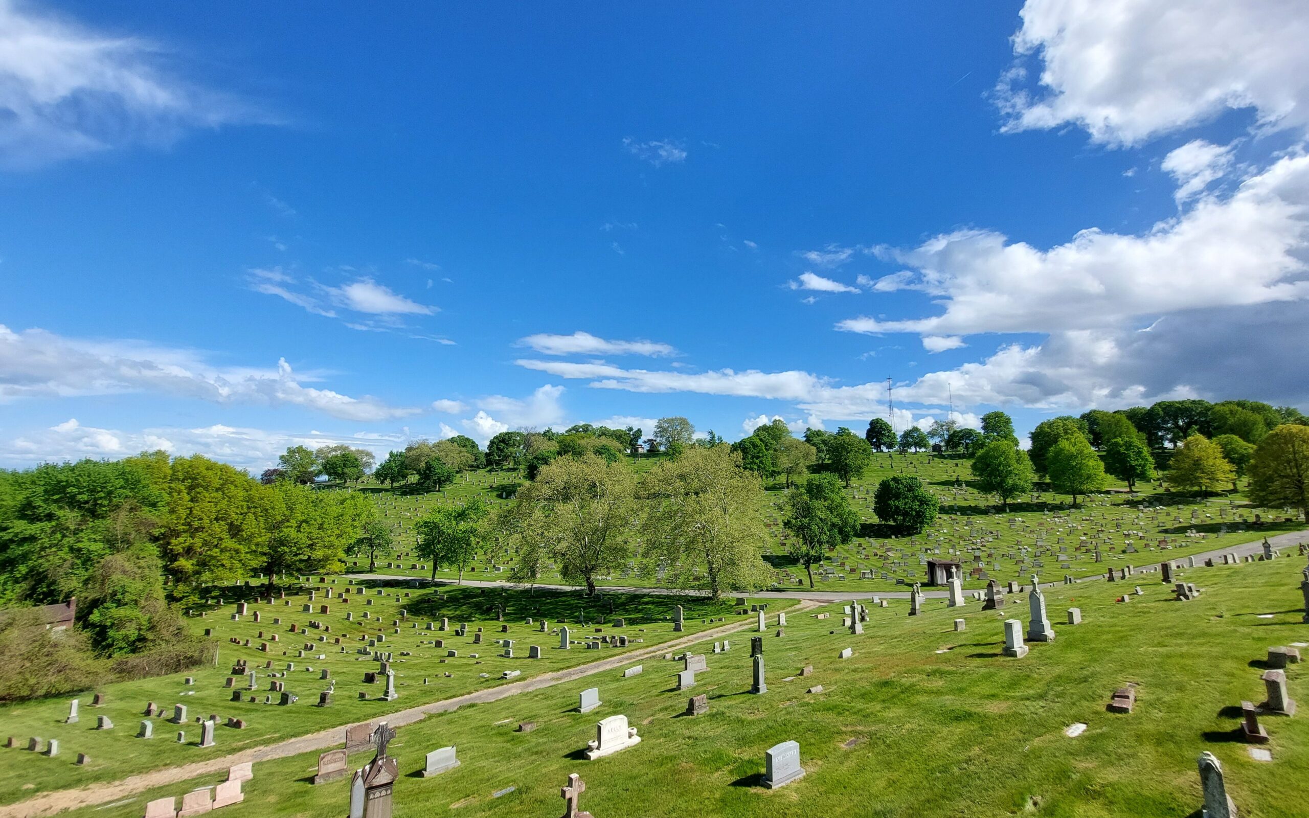 Ground Burial Services | The Catholic Cemeteries Association