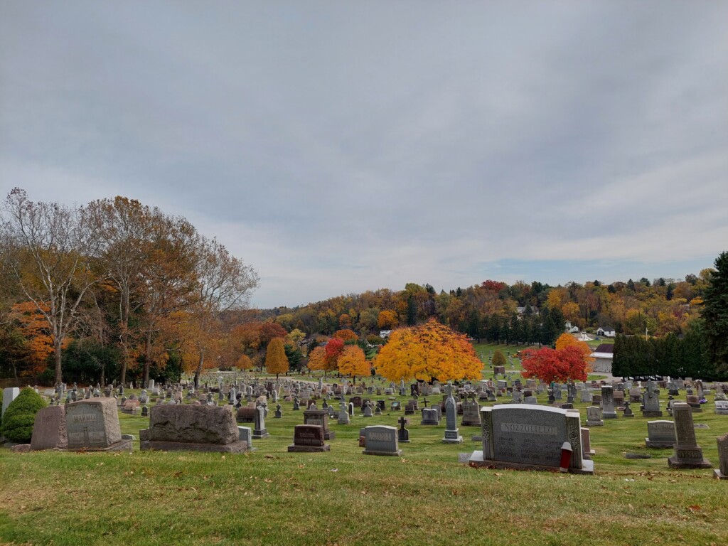 graves at Mount Carmel cemetery